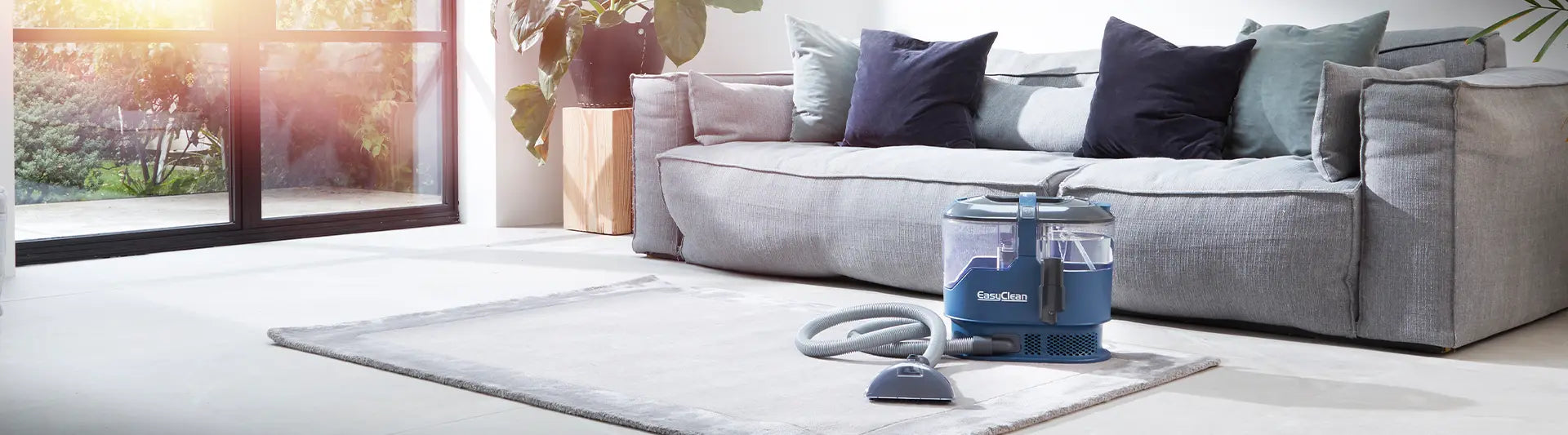 Vacmaster EasyClean, detergente per tappeti con macchie
