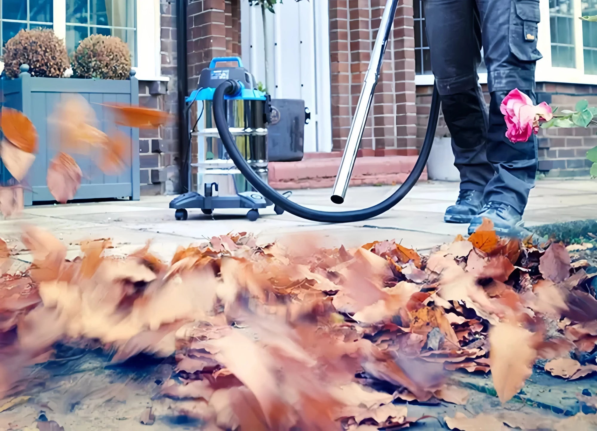 Vacmaster Power 30 In-Depth Review: What makes this one of the best wet and dry vacuum cleaners in Europe