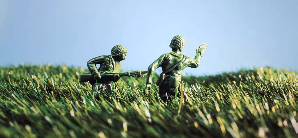 How to Maintain a Vibrant Green Lawn All Year Round? 7 Maintenance Tips Unveiled