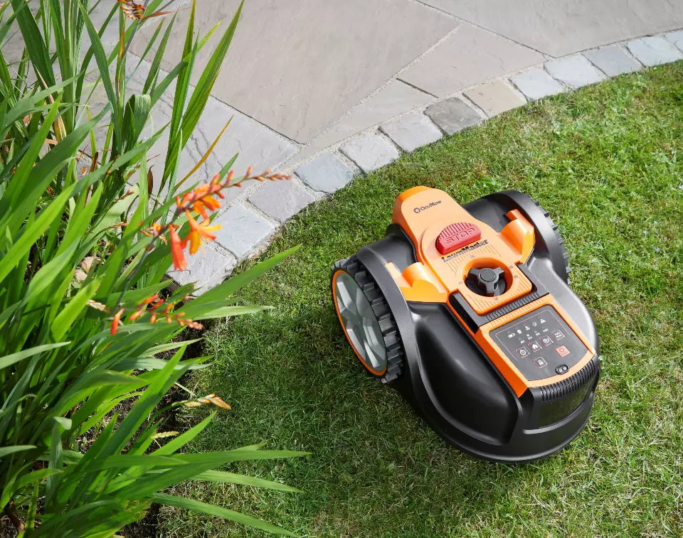 AMB16P2 at the edge of the lawn