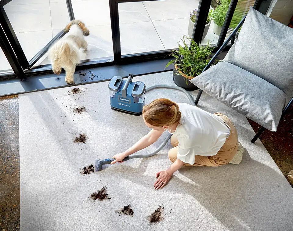 Vacmaster EasyClean Up Teppichreiniger auf einem britischen Teppich