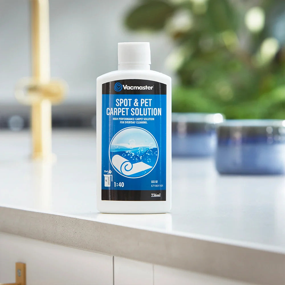 Vacmaster EasyClean Up Pulitore per macchie su tappeti - Tubo lungo, leggero Cleva Vacmaster EasyClean Up Pulitore per macchie su tappeti - Tubo lungo, leggero Cleva