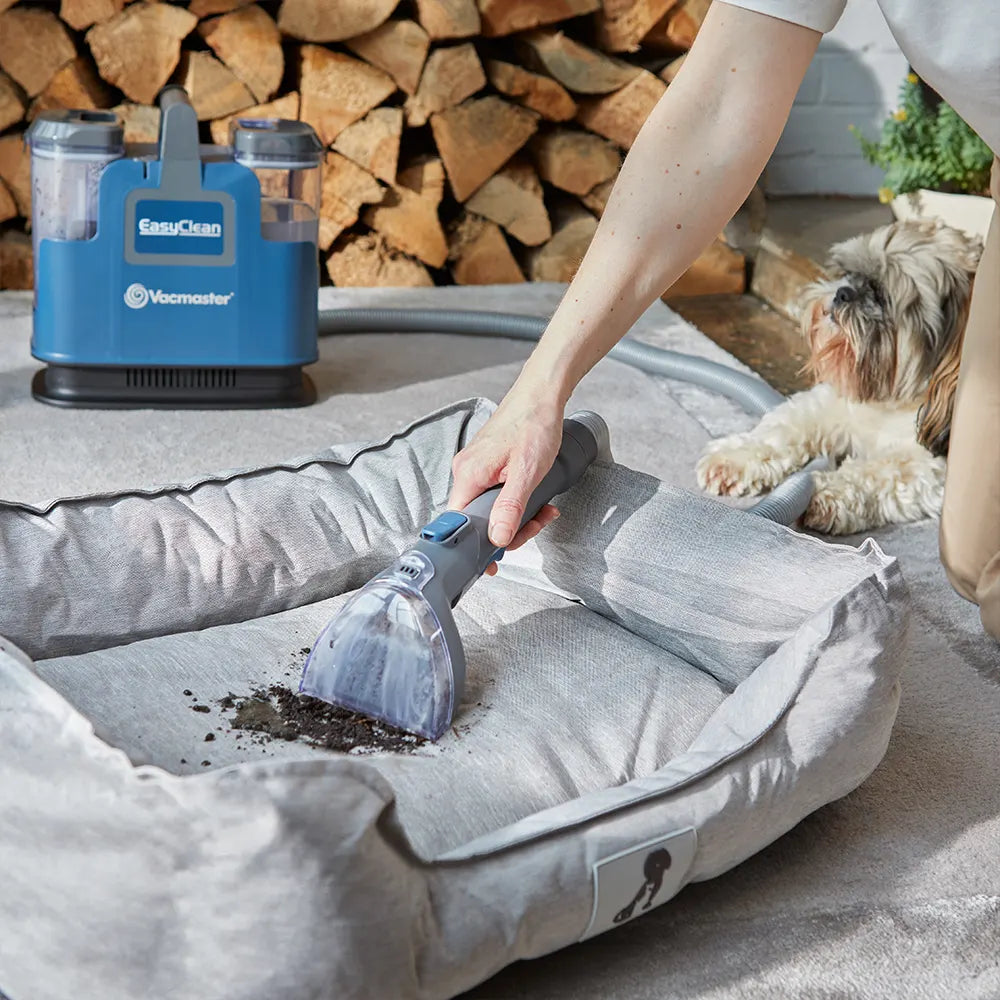 Vacmaster EasyClean Up Carpet Spot Cleaner Reinigung eines Hundebettes