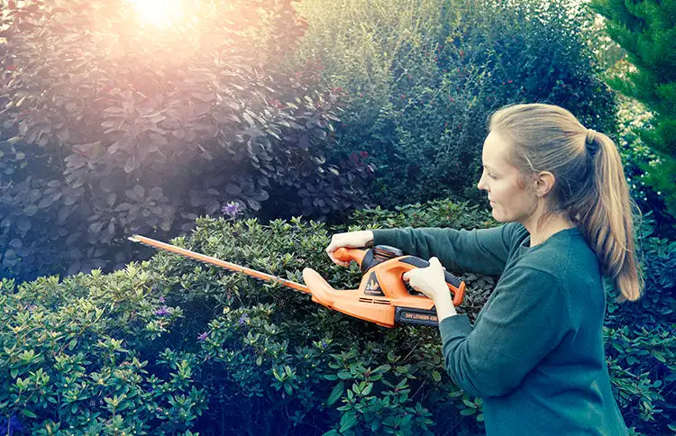 LawnMaster Heckenschere