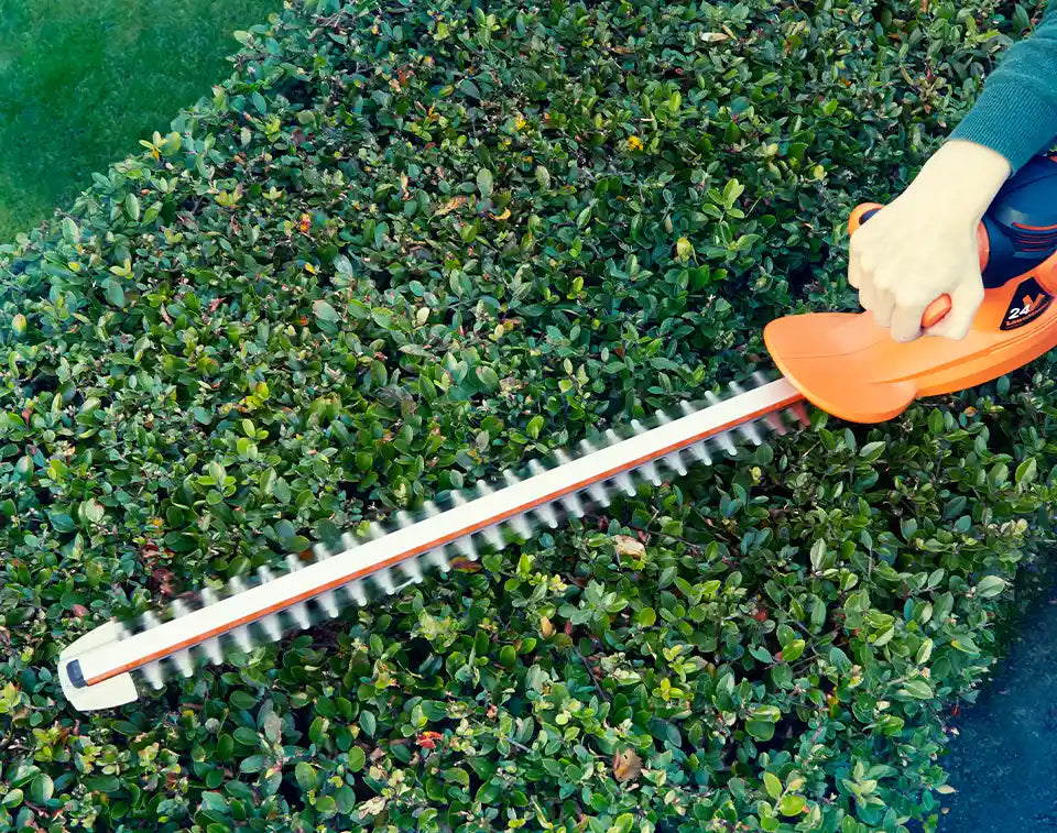 LawnMaster Heckenscheren für UK Garden