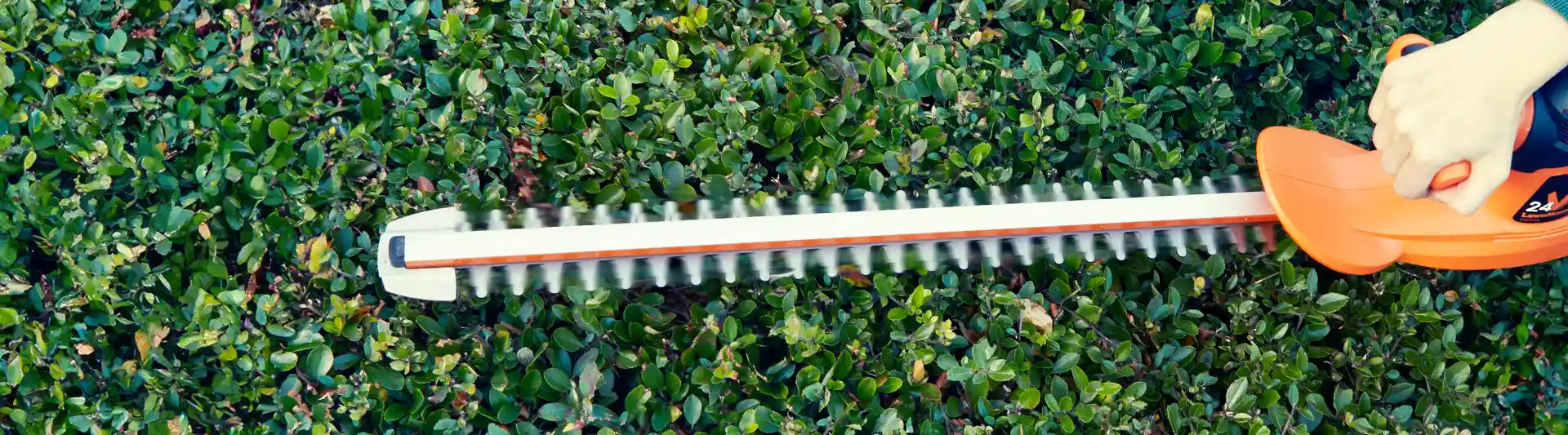 LawnMaster Heckenpflege
