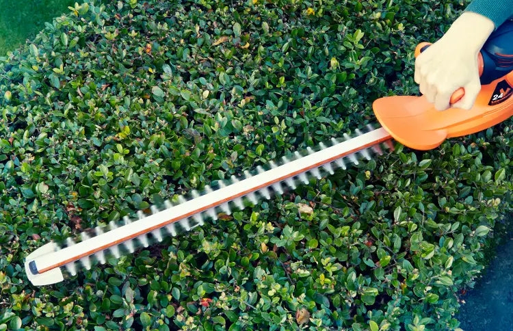 LawnMaster Heckenpflege