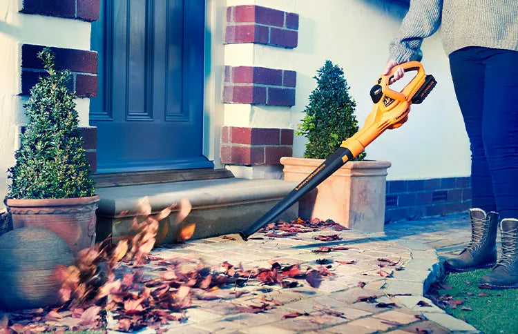 LawnMaster Schnurlose Laubbläser