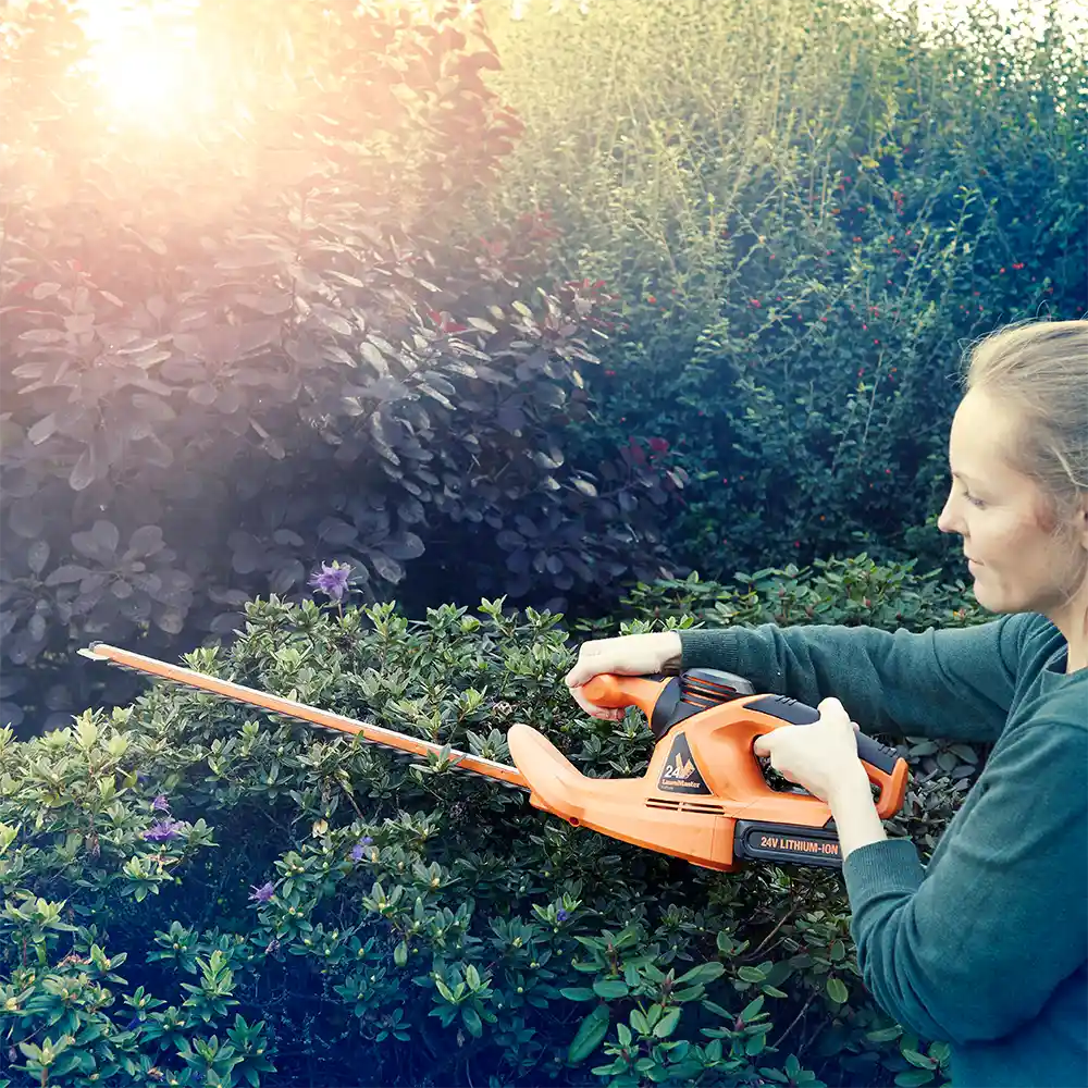 LawnMaster Shared MX 24V 2.0Ah batterie Hedgetrimmer