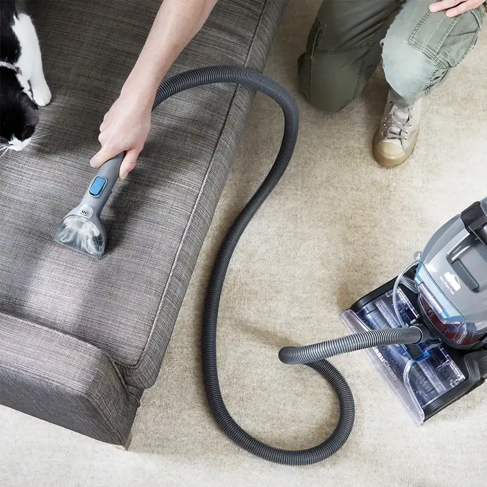 Vacmaster EasyClean Home| Teppichreiniger